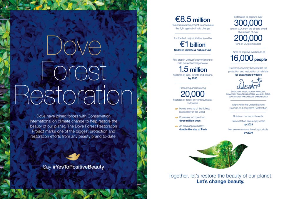 Dove Forest Restoration Project Infographic