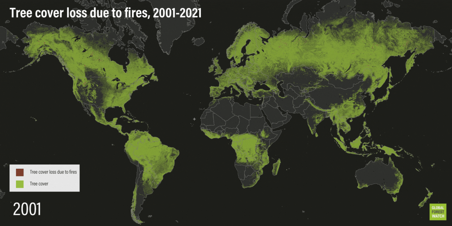 forest fires over time